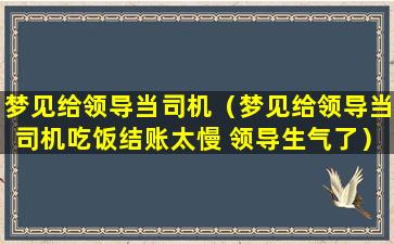 梦见给领导当司机（梦见给领导当司机吃饭结账太慢 领导生气了）